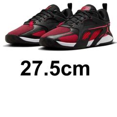 NIKE ナイキ ジョーダン エアー シリーズ PF JORDAN AIR SERIES PF Bloodline  FQ3859-006 27.5cm