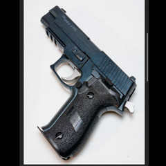 P226メタルブルー キャロムショット