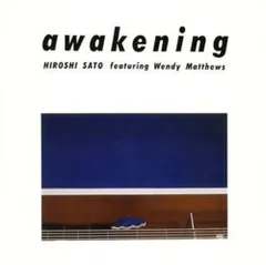 佐藤博 (HIROSHI SATO) / AWAKENING (PASTEL BLUE VINYL) [LP