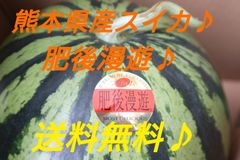 熊本県産スイカ　肥後漫遊1玉♪　特サイズ　1玉9キロ以上♪