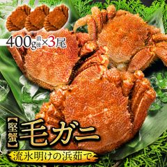 最高峰の毛ガニ 400g前後×3尾  【最高ランクの堅蟹! 流氷明け!!】  ◆ のし承ります ◆