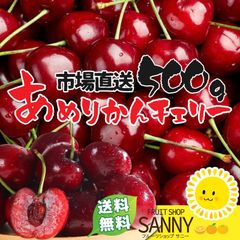 アメリカンチェリー（良品大粒）大容量500g 特別濃厚な『ビング種』（良品）（目安40-50粒）パリッと大粒！【クール便送料無料】※沖縄・離島・北海道は発送不可