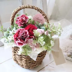カーネーションのバスケットアレンジメント　ギフト　直送　メッセージ代筆可能　509