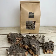 【サンプル】コルクセット小  板 板付  着生ラン ラン 観葉植物 観葉 植物 コウモリラン ビカクシダ 塊根植物 塊根 コーデックス 着生植物 着生 シダ植物 シダ エアプランツ エアープランツ チランジア ブロメリア おうち時間 グリーン