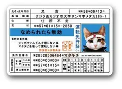 2025年最新】なめ猫グッズの人気アイテム - メルカリ