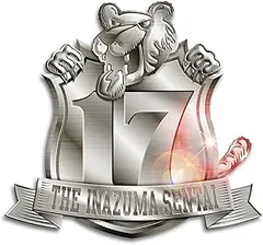 2025年最新】THEイナズマ戦隊の人気アイテム - メルカリ