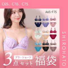 【SHIROHATO公式】【正規品・新品】ブラジャー ショーツ 3点セット 福袋 選べる2タイプ おまかせ 刺繍レース おしゃれ シンプル ABCDEF(C65、C70、C75)