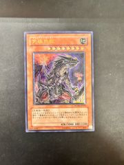 遊戯王 青眼の白龍 レリブル BGS9 Amazon.co.jp: 遊戯王OCG 青眼の白龍 パラレル仕様 SDKS-JP009-P