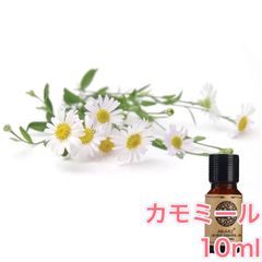 カモミール ローマン 10ml×1本 エッセンシャルオイル アロマオイル 無希釈 天然 無添加 アロマストーン アロマディフューザー 芳香 ルームフレグランス 香水