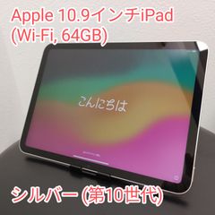 ★Hideya Minamiji様専用★Apple iPad 第10世代 Wi-Fi モデル 64GB シルバー 箱・ケーブル・アダプタ付 アップル