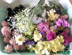 数量限定ドライフラワー花材セット＊千日紅かすみ草スターチスアナベルユーカリミモザ