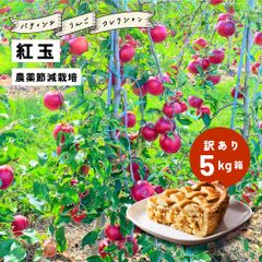 発送9月25日から「紅玉5キロ箱訳あり品」 紅玉 ジョナサン 加工 生食 訳あり お買い得 格外 お菓子作り 送料無料