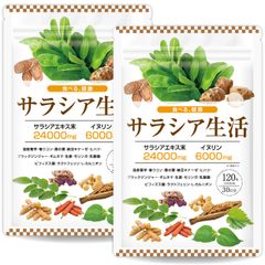 【2袋セット】【医師監修】サラシア24000mg イヌリン 6000mg 国産菊芋 桑の葉 16種類の厳選成分 30日分 120粒 GMP国内工場製造 サラシア生活 サプリメント