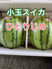 熊本県産　今年最後の春の小玉スイカ　ひとりじめ　2L 2玉入り