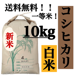 白米　10kg コシヒカリ　新米　埼玉県産　令和4年産　送料無料　米　10キロ