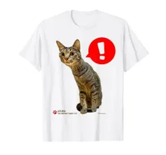 2024年最新】キャタピラー cat tシャツの人気アイテム - メルカリ