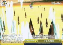 [중고]바이스슈발츠 FGO/S75-021[CC]: 생긴 고장