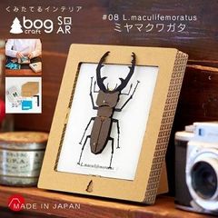 【新品】SQAR ミヤマクワガタ bog craft ボグクラフト 組み立てるインテリア 工作 飾り 標本 ペーパークラフト スクウェア