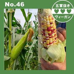 高葉酸スイート ワキシー コーン カラフルなワキシー フレッシュ真空スティッキー コーン 2KGベジタリアン ペストリー サキマ サクサク スナック 手作り【五葷不使用】プラントベース ヘルシー ダイエット ヴィーガン ベジタリア