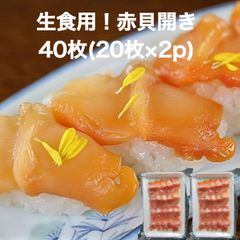 🍣貝類🍣