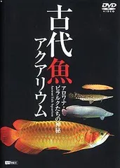 ハンドメイド　39cmピラルク 魚フィギュア　　レプリカ　古代魚　置物　オブジェ 82cm ピラルク 魚フィギュア 立体・オブジェ fish craft