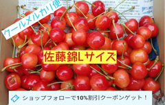 山形県産さくらんぼ 佐藤錦　Lサイズ約1.2㎏(クール便発送)