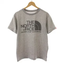ザノースフェイス THE NORTH FACE S/S COLOR DOME T Tシャツ カットソー ロゴプリント 半袖 M ライトグレー /DK