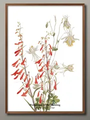 1-7692花 フラワー 絵画の散歩道 オリジナル商品 A3 サイズ ポスター アート おしゃれ 絵画 インテリア 北欧 イラスト マット紙 艶消し アートパネル 額 フレーム デザイン 壁掛け ギフト 新築祝い ディスプレイ 