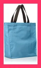 [WHOLLY] [ウォーリー] ショッピングバッグ 角型 ランチバッグ 3L1