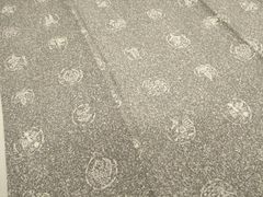 平和屋着物■上質な小紋　風景丸文　正絹　逸品　DAAQ6714op