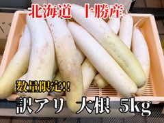 【数量限定 訳アリ大根】北海道 ニセコ産 大根 5kg(約4本)  訳アリ品 規格外 常温発送