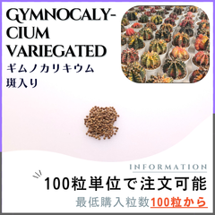 【種子】ギムノカリキウム 斑入り /セット割有 数量100粒から購入可