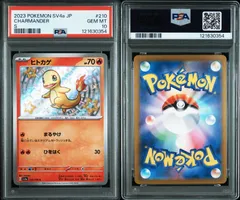 2025年最新】ヒトカゲ s psa10の人気アイテム - メルカリ