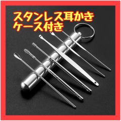 B044　6種類 耳かき ステンレス ヘラ スクリュー スプーン ケース付き
