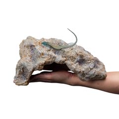 爬虫類 レオパ シェルター トカゲ カナヘビ 亀 ロックシェルター 爬虫類シェルター 岩 隠れ家 L