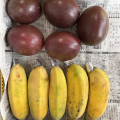 現物発送！大人気セット　沖縄産パッションフルーツ、アップルバナナ