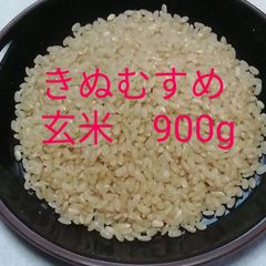 こだわりのお米、玄米900g。農薬·化学肥料不使用。試食用