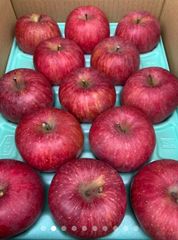 減農薬栽培山形産 13玉小玉パック詰め3キロのりんごを大切なあの方へいかが