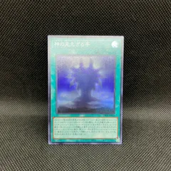 2025年最新】ドラゴンテイル デッキの人気アイテム - メルカリ