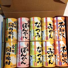 愛媛県産柑橘  無添加 100%みかんジュース  10本 蜜柑果汁のみ使用