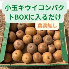 小玉キウイコンパクトBOXに入るだけ♪ 農薬無し、肥料無し、除草剤不使用♪