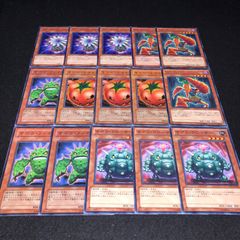 遊戯王 NO.811 サボウクローザー サボウファイター キラートマト にん人 グローアップバルブ 各3枚 計15枚