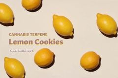 【Lemon Cookies】高品質テルペン 1ml 小売