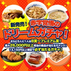 【赤字覚悟！25食 13,150円以上保証！】 松屋 新春 ドリームガチャ 福袋 2026 最大26,000円相当が当たる！ 牛めし 牛めしの具