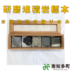 研磨堆積岩標本 5個セット