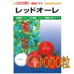 カネコ種苗　レッドオーレ　トマト　１０００粒