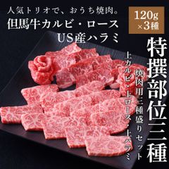【但馬牛黒毛和牛カルビ＆ロース＋US産ハラミ】焼肉3種盛りセット 360g（ギフト・BBQに）