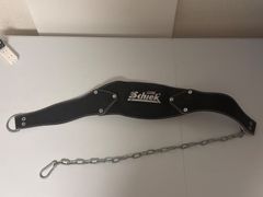 シークディッピングベルト schiek チンニングベルト 荷重ベルト ディップス 懸垂