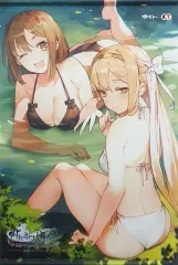 【中古】タペストリー ライザ＆クラウディア・バレンツ 描き下ろしB2タペストリー 「PS4/Switchソフト ライザのアトリエ ～常闇の女王と秘密の隠れ家～」 トレーダー購入特典