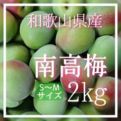 梅 南高梅 S~M 2㎏ 和歌山